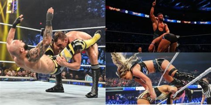10 Best Wrestlers To Use The Powerbomb, Ranked