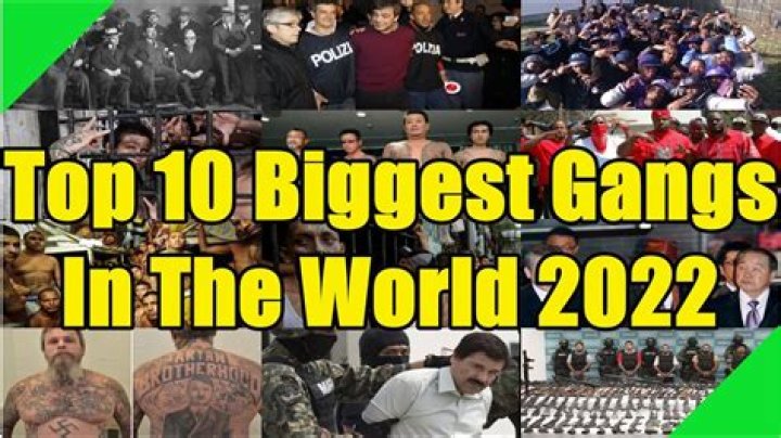 10 Biggest Gangs In The US Top Biggest