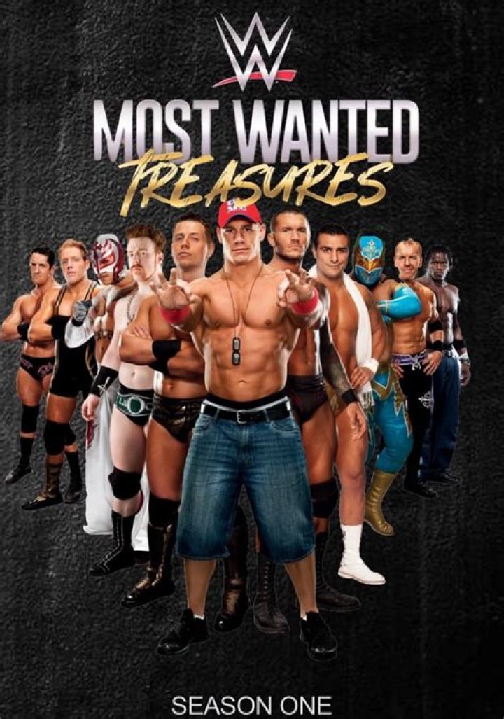 10 Coolest Things We Learned From WWE's Most Wanted Treasures TV Show