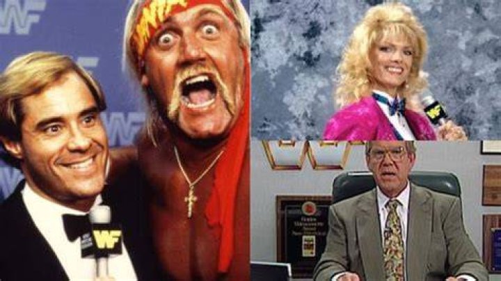 10 Forgotten WWE TV Personalities Of The 2010s