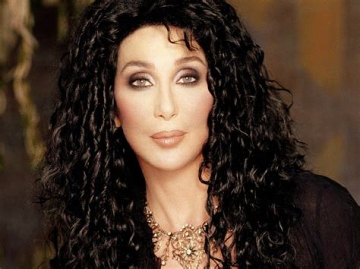 10 Interesting Facts about Cher ArtSheep