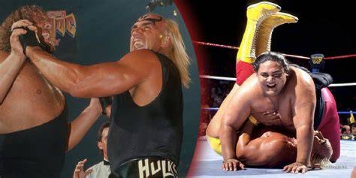 10 Matches Hulk Hogan Wants You To Forget