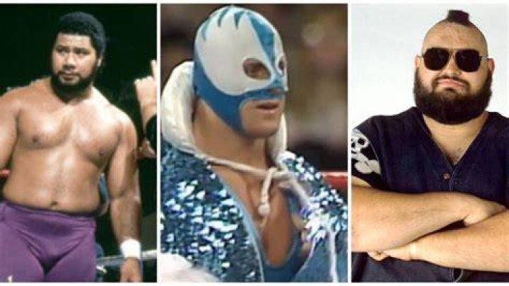 10 Old-School Wrestlers That WWE Failed To Utilize Properly
