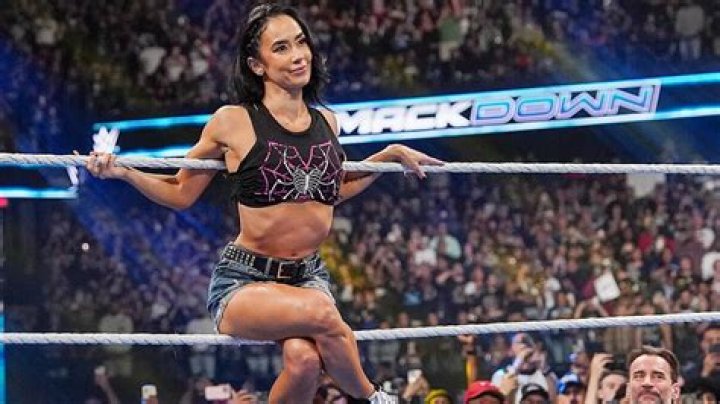 10 Worst Things AJ Lee Did In Wrestling