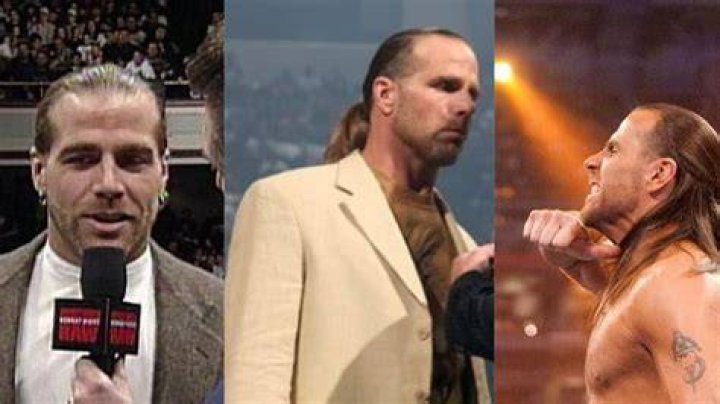 10 Worst Things That Happened To Shawn Michaels