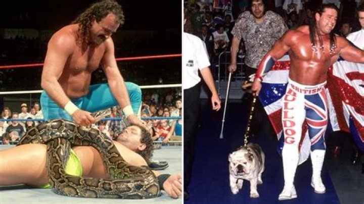 11 Times WWE Used Real Live Animals In Their Storylines