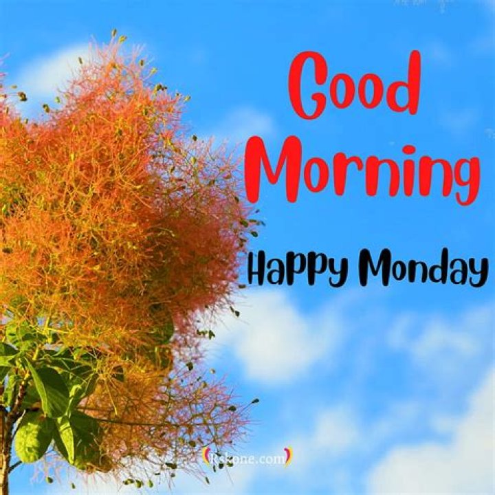 286+ Good Morning Monday Images, Photos, Pics, Wallpapers & Wishes