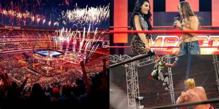 3 Reasons You Should Watch Each Wrestling Company