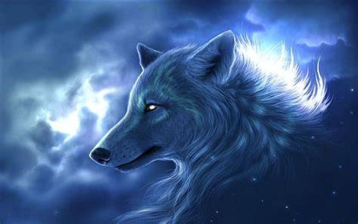 30 Cool Wolf Pictures and Images