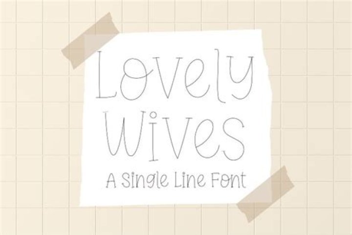 35+ of the Lovely Wives and Girlfriends of the Most Popular WWE