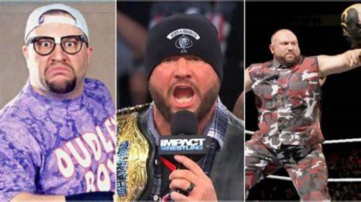 5 Reasons Bubba Dudley Was Better Solo (& 5 Why He's Better With D-Von)
