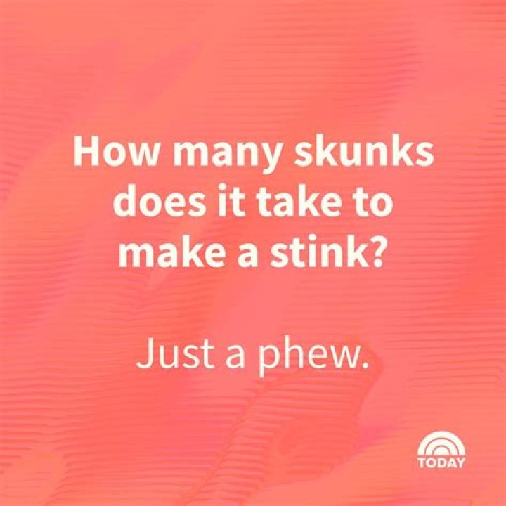 67 BEST Funny Jokes for Teens 2024 😜 (Unique Puns CopyPaste)