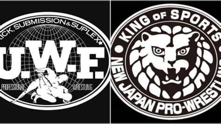 A Guide To The New Japan Storyline That Inspired The nWo