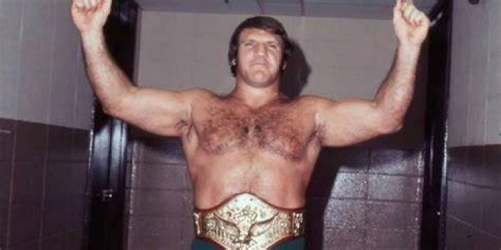 A Look Back At Bruno Sammartino's Historic WWE Title Reign