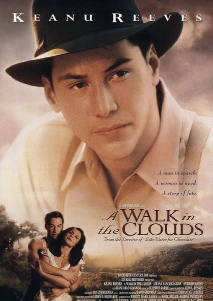 A Walk In The Clouds (Movie) Fan Casting