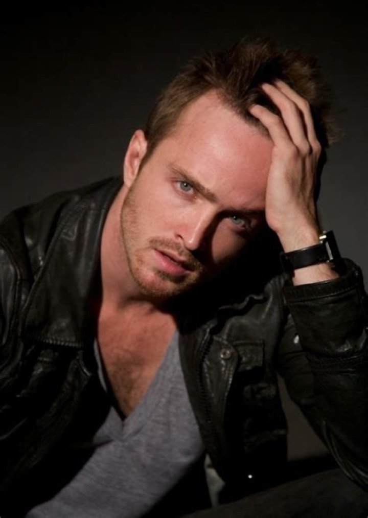 Aaron Paul Fan Casting