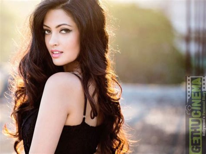 Actress Wallpapers 1063010 hot riya sen bollywood actress wallpapers