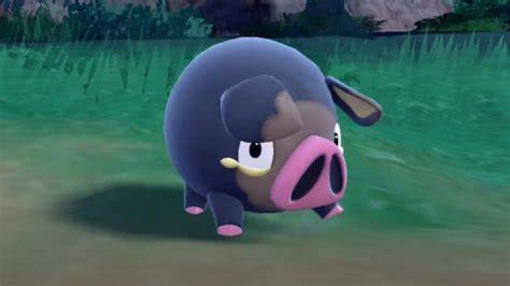 Adorable Names for Brand New Pokémon in Pokémon Scarlet and Pokémon Violet Sends
Fans Into Meltdown