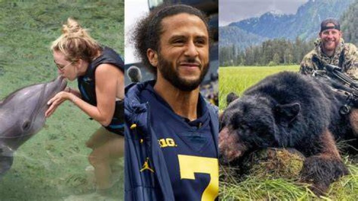 After Animal Lovers’ ‘Attacked’ Brittany and Carson Wentz, Colin Kaepernick
Serves ‘Sweet Justice’ to 88 Million Vegans