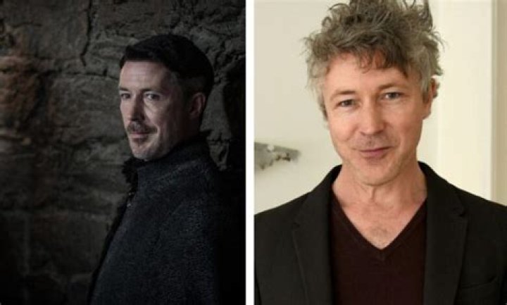 Aidan Gillen as Dockson in The Mistborn Trilogy