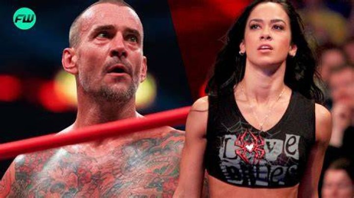 AJ Lee CM Punk Daniel Bryan