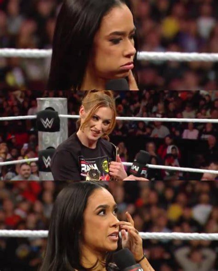 AJ Lee cuts a promo on the Total Divas