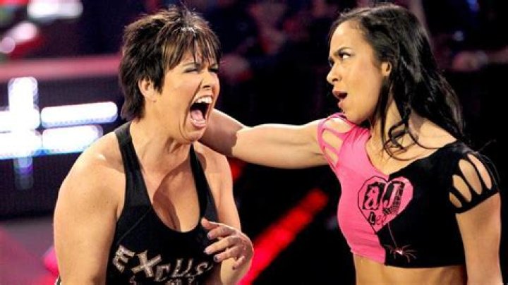 AJ Lee vs. Vickie Guerrero (2013)