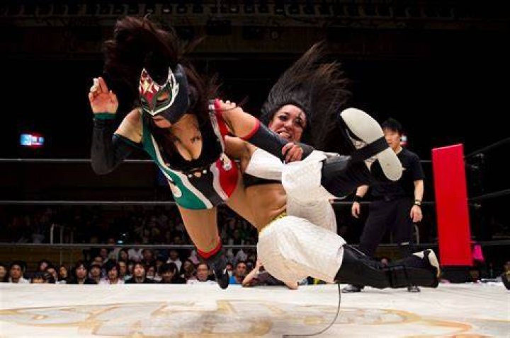All Japan Women's Professional Wrestling