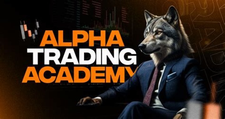 Alpha Academy feature