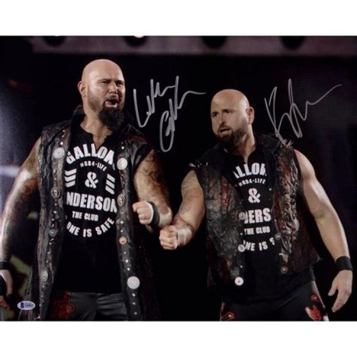 Anderson Gallows Bullet Club