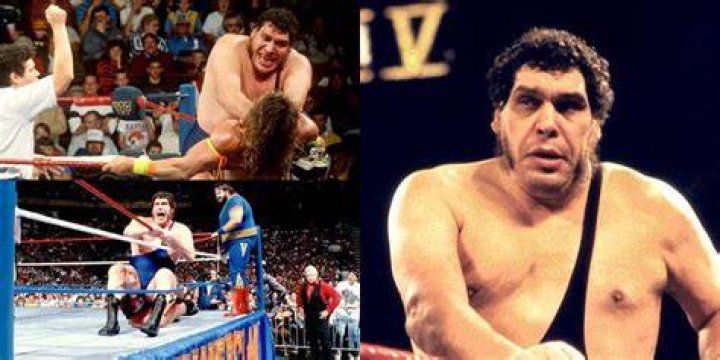 Andre The Giant's Last 10 Losses In WWE 