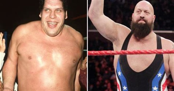 Andre The Giant & The Twin Towers v Jim Duggan & Demolition SummerSlam 1989 Cropped