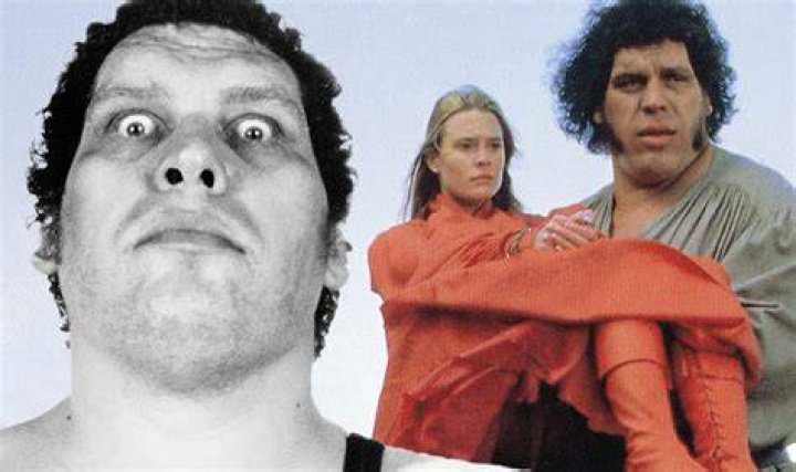 Andre The Giant face to face with Hulk Hogan.