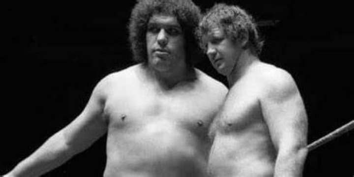 Andre the Giant Terry Funk