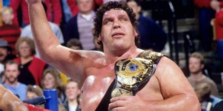 Andre the Giant