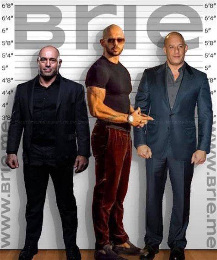 Andrew Tate Real Height: Unveiling The Truth Behind The Controversial Figure