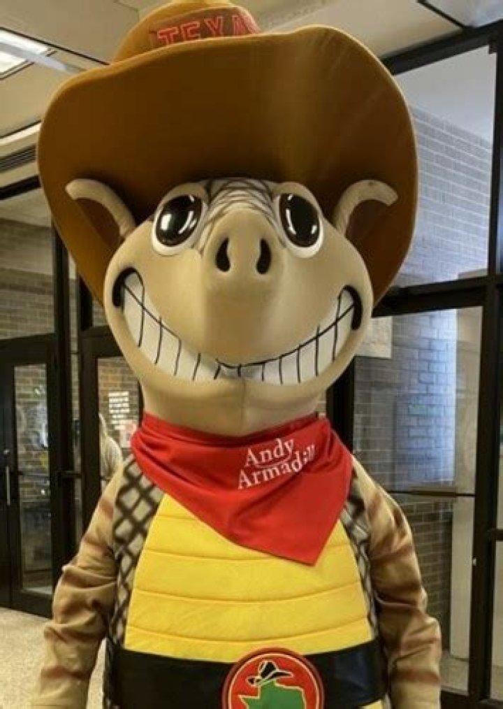 Andy Armadillo Fan Casting for Restaurant/Store Mascot Battle | myCast