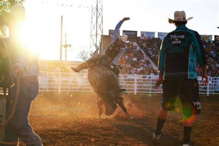 As Bull Riding Dominates Albany New York, Dive into the Recap of Round 1