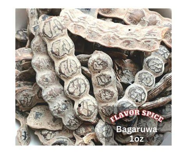 Bagaruwa Acacias/ Nep Nep Seed/30g Etsy