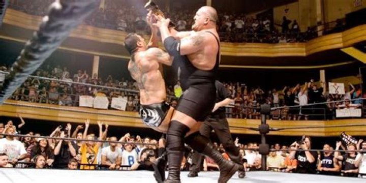 Batista - Spear Cropped