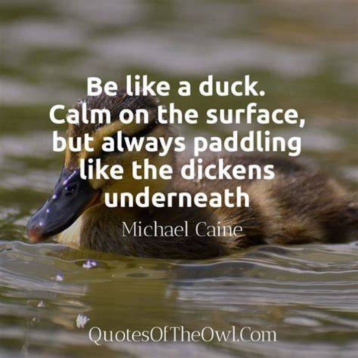 Be Like a Duck Quote, Dictionary Art Printable, Instant Download My