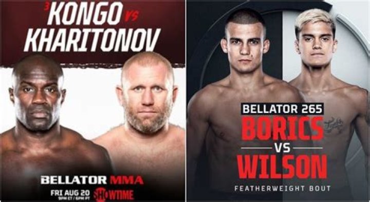 Bellator 265 Kongo vs Kharitnov