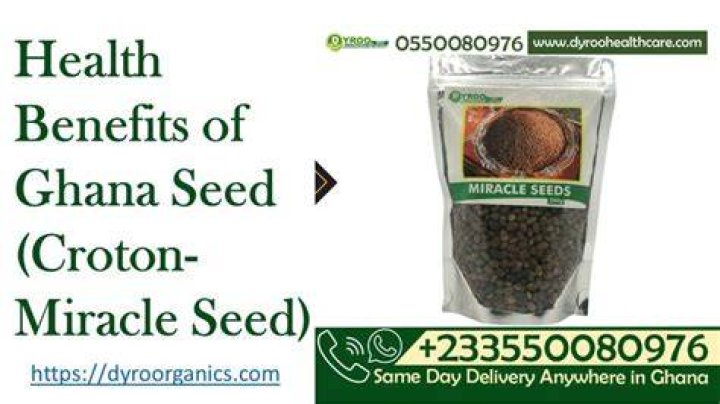Benefits of Miracle Seeds (Croton Seeds) DYROO HEALTHCARE