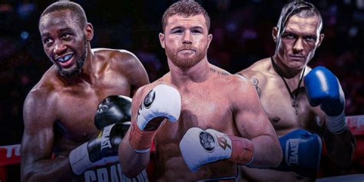 Best boxers of 2023