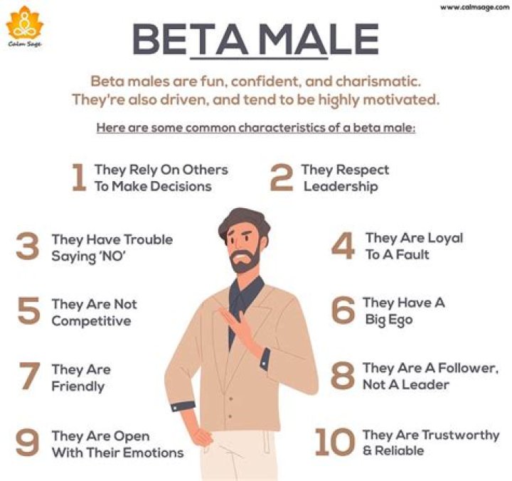 Beta male characteristics Beta Male Traits Alpha Male Traits