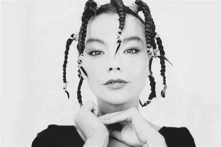 Bjork's ex Matthew Barney sue her over time spent with daughter Daily
