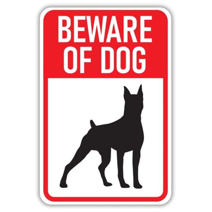Blackout at Beware of Dog