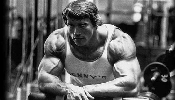 Bodybuilding Legend Arnold Schwarzenegger May Have Smaller Biceps Than Hulk
Hogan but He Easily Beats Dwayne Johnson and John Cena