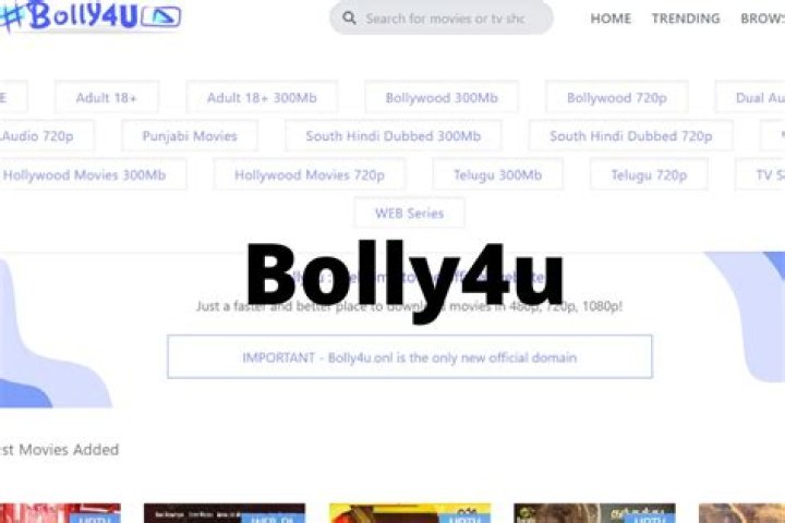 Bolly4u Streaming Download New Bollywood, Hollywood, Hindi Dubbed
