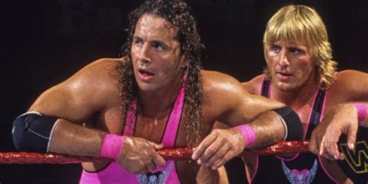 Bret Hart v Owen Hart SummerSlam 1994 Cropped